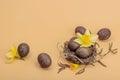 Easter eggs, wooden bunnies and bird\'s nest with chicken and narcissus flower. Festive concept