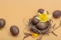 Easter eggs, wooden bunnies and bird\'s nest with chicken and narcissus flower. Festive concept