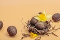 Easter eggs, wooden bunnies and bird\'s nest with chicken and narcissus flower. Festive concept