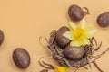 Easter eggs, wooden bunnies and bird\'s nest with chicken and narcissus flower. Festive concept