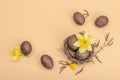 Easter eggs, wooden bunnies and bird\'s nest with chicken and narcissus flower. Festive concept