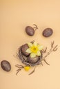 Easter eggs, wooden bunnies and bird\'s nest with chicken and narcissus flower. Festive concept