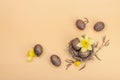 Easter eggs, wooden bunnies and bird\'s nest with chicken and narcissus flower. Festive concept