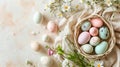 Easter eggs in woven nest chamomile flowers on pastel background. Holiday banner card template with copy space