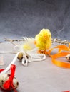 Easter eggs, yellow chicken toy, willow- the symbol of Easter Royalty Free Stock Photo