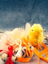 Easter eggs, yellow chicken toy, willow- the symbol of Easter Royalty Free Stock Photo