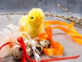 Easter eggs, yellow chicken toy, willow- the symbol of Easter Royalty Free Stock Photo