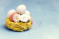 Easter Eggs in Yellow Nest Easter Background Greetibg Card Copy Space Flowers Easter Food Concept Royalty Free Stock Photo