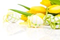 Easter eggs with yellow tulip flowers Royalty Free Stock Photo