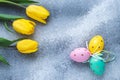 Easter eggs and yellow tulips on shabby blue and gray concrete background. Paschal decorations, holiday gift card