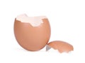 Easter eggshell