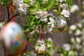 Easter egss hanging on the twig of apple tree