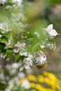 Easter egss hanging on the twig of apple tree