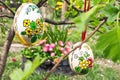 Easter egss Royalty Free Stock Photo