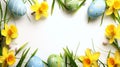Easter Elegance: Colorful Easter Eggs, Narcissus Flowers and Grass Filigree, Clipart Forming a Delicate Frame on a White Royalty Free Stock Photo