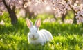 Easter enchantment: Rabbit in a spring blossom field