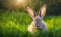 Easter enchantment: Rabbit in a spring blossom field