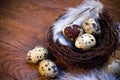 Easter feather eggs Royalty Free Stock Photo