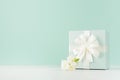 Easter festive background in trendy green mint menthe color on white wood table - fresh flowers, elegant standing square gift box.