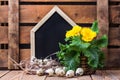 Easter festive composition with flowers and quail eggs Royalty Free Stock Photo