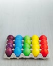 Easter festive multicolor eggs carton