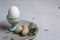 Easter festive table setting with gray plate, quail eggs and chicken egg standing in the egg cup with leaf sprigs of eucalyptus