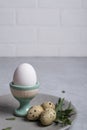 Easter festive table setting with gray plate, quail eggs and chicken egg standing in the egg cup with leaf sprigs of eucalyptus