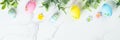 Easter composition with colored eggs and green plants on white background. Royalty Free Stock Photo