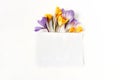 Easter floral composition. Yellow and violet crocuses flowers and blank paper card on white wooden background. Spring