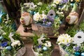 Easter flower arrangements with spring flowers for outside like white bellies, blue pansies, white primrose, bunnies and dwarfs. Royalty Free Stock Photo