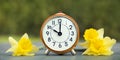 Easter flowers and alarm clock, spring forward, daylight savings time concept