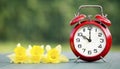 Easter flowers and alarm clock - springtime, spring forward banner Royalty Free Stock Photo