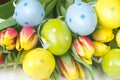 Easter flowers and eggs Royalty Free Stock Photo