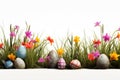 easter flowers with grass and eggs white background. ai generated Royalty Free Stock Photo