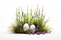 easter flowers with grass and eggs white background. ai generated Royalty Free Stock Photo