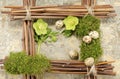 Easter frame with vintage background and five boiled quail eggs plus two hellebore flowers