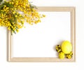 Easter frame with yellow branches of acacia flowers and yellow eggs on a white background. Copy space, flat lay Royalty Free Stock Photo