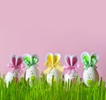 Easter funny bunny on green grass with easter eggs. Easter background.