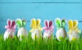 Easter funny bunny on green grass with easter eggs. Easter background.