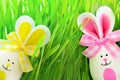 Easter funny bunny on green grass with easter eggs. Easter background.