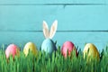 Easter funny bunny on green grass with easter eggs. Easter background.