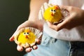 Easter funny yellow bisquit cookies Royalty Free Stock Photo
