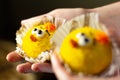 Easter funny yellow bisquit cookies Royalty Free Stock Photo