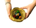 Easter gift with a nest with small colorful eggs on a white isolated background