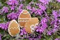 Easter gingerbread eggs in a spring flowers Royalty Free Stock Photo