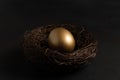 Easter Gold egg in nest on black background. Minimal concept Royalty Free Stock Photo