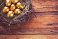 Easter gold eggs