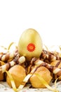 Easter golden egg Royalty Free Stock Photo