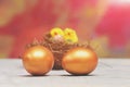 Easter golden eggs and yellow hen, chicken bird in nest Royalty Free Stock Photo