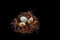 Easter goldenand white decorated eggs in nest on black background . Minimal easter concept copy space for text. Top